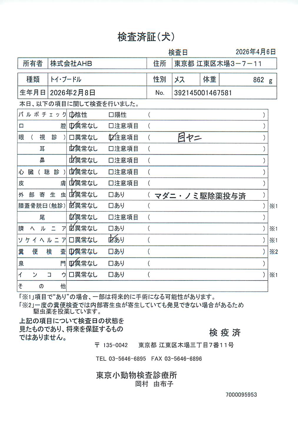 トイ・プードル