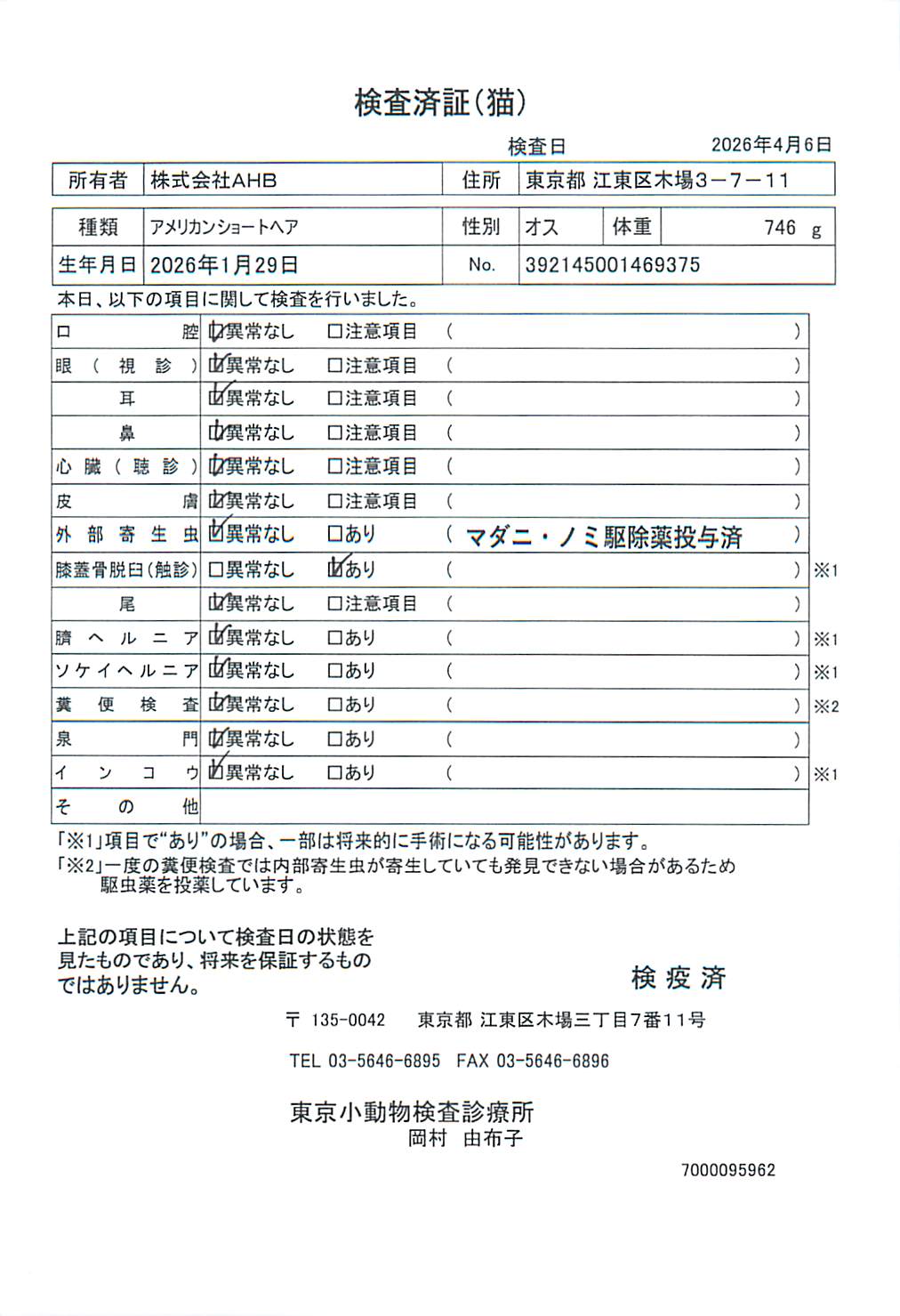 アメリカンショートヘア