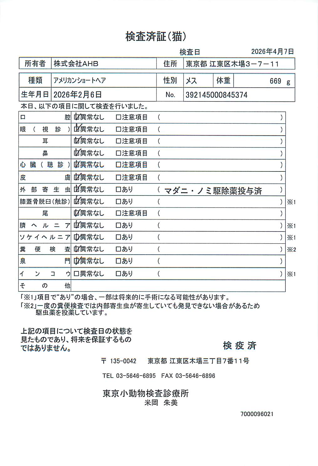 アメリカンショートヘア