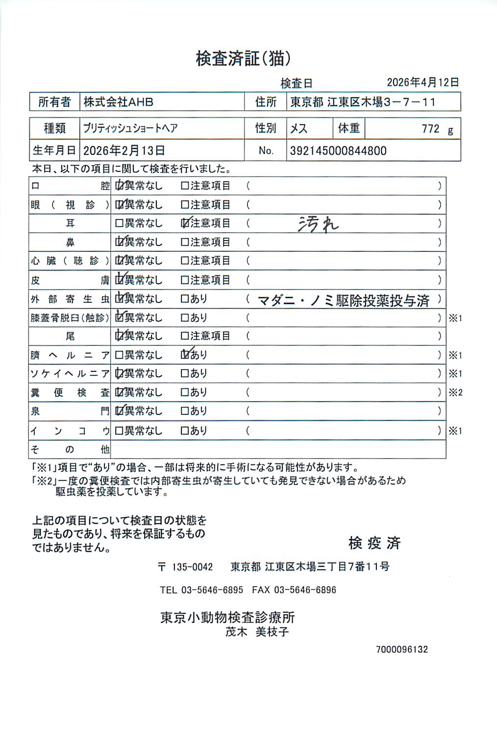 ブリティッシュショートヘア