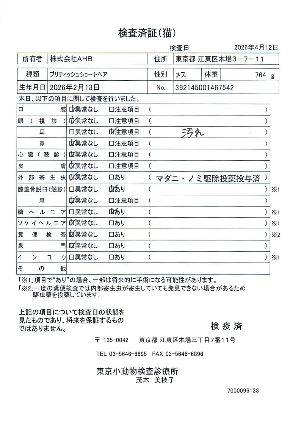 ブリティッシュショートヘア