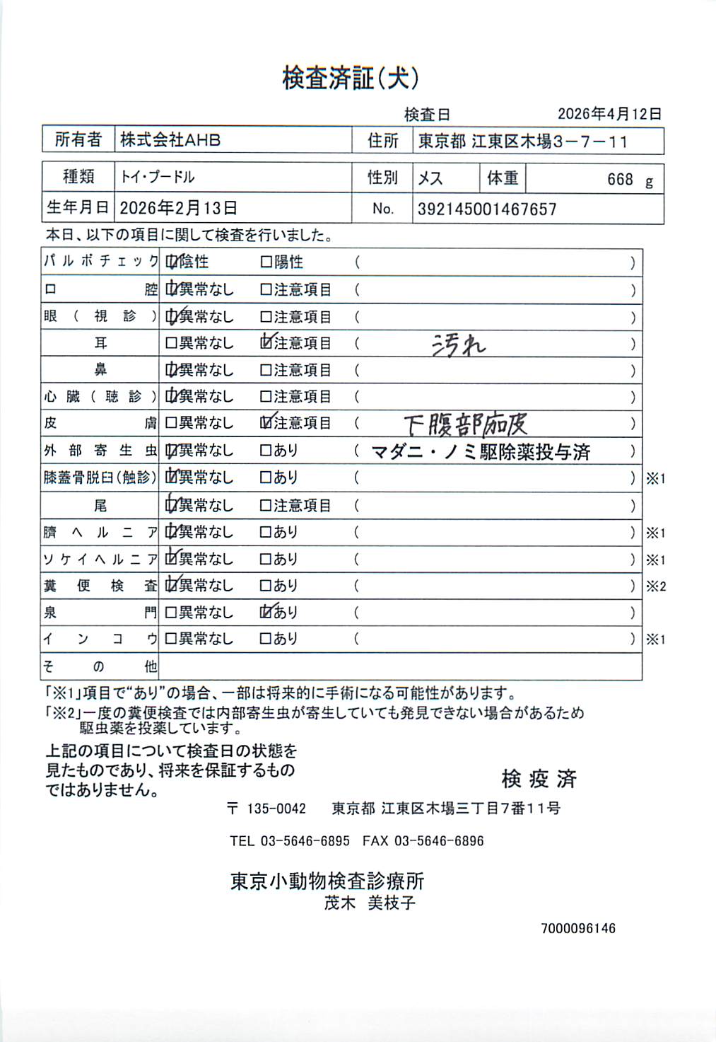 トイ・プードル