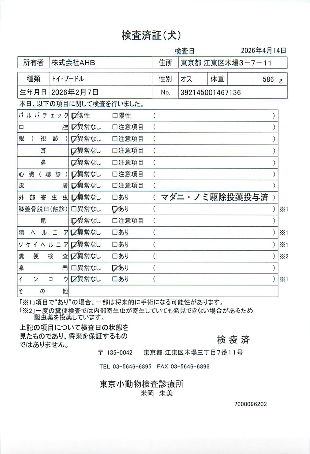 トイ・プードル