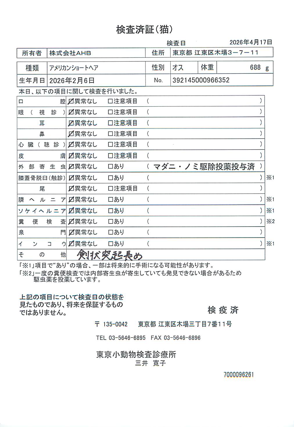 アメリカンショートヘア