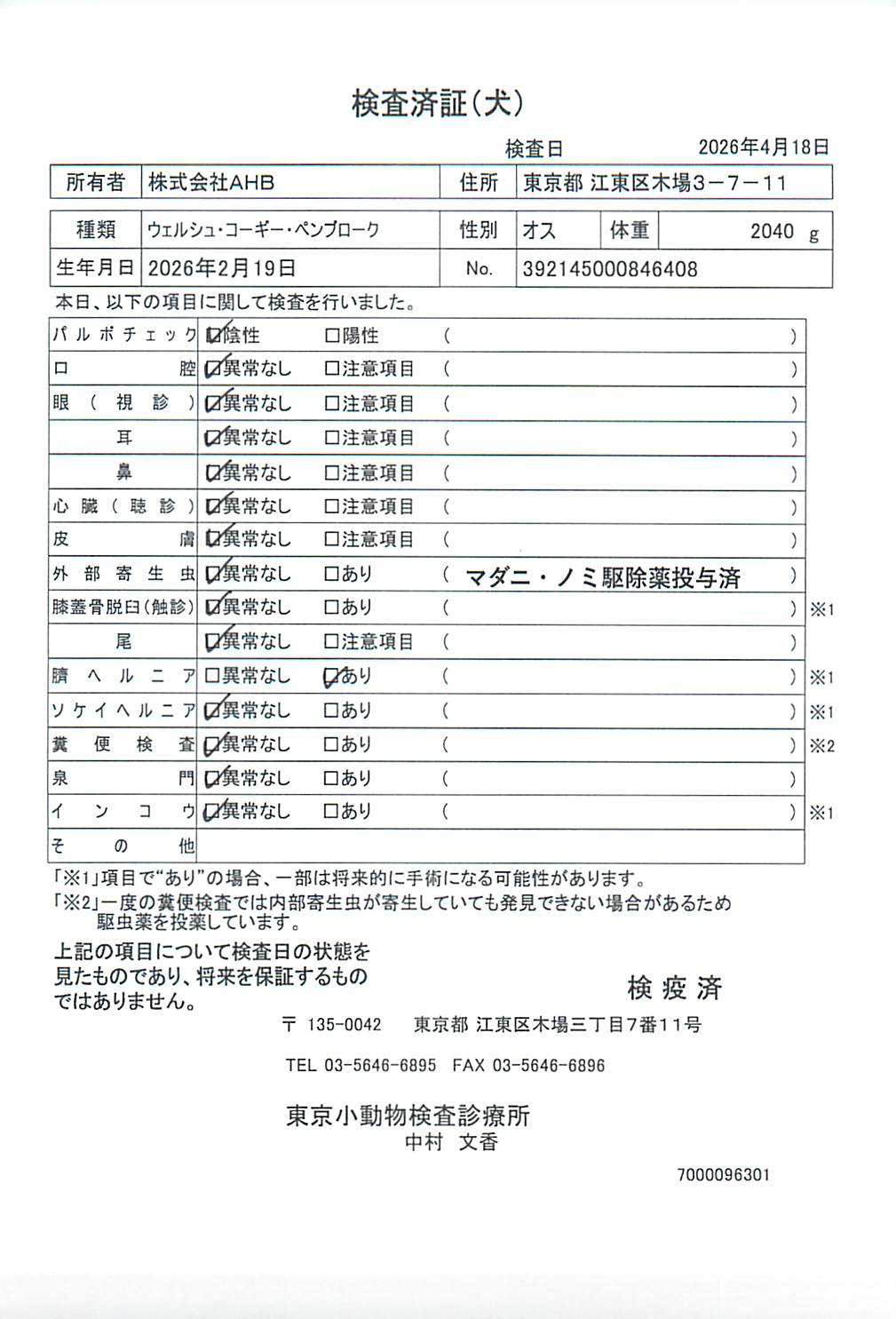 ウェルシュ・コーギー・ペンブローク