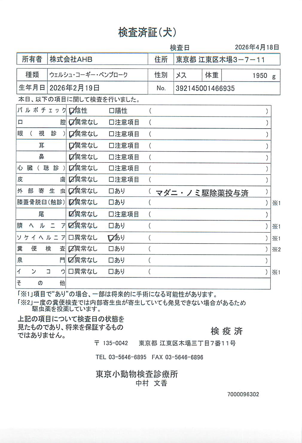 ウェルシュ・コーギー・ペンブローク