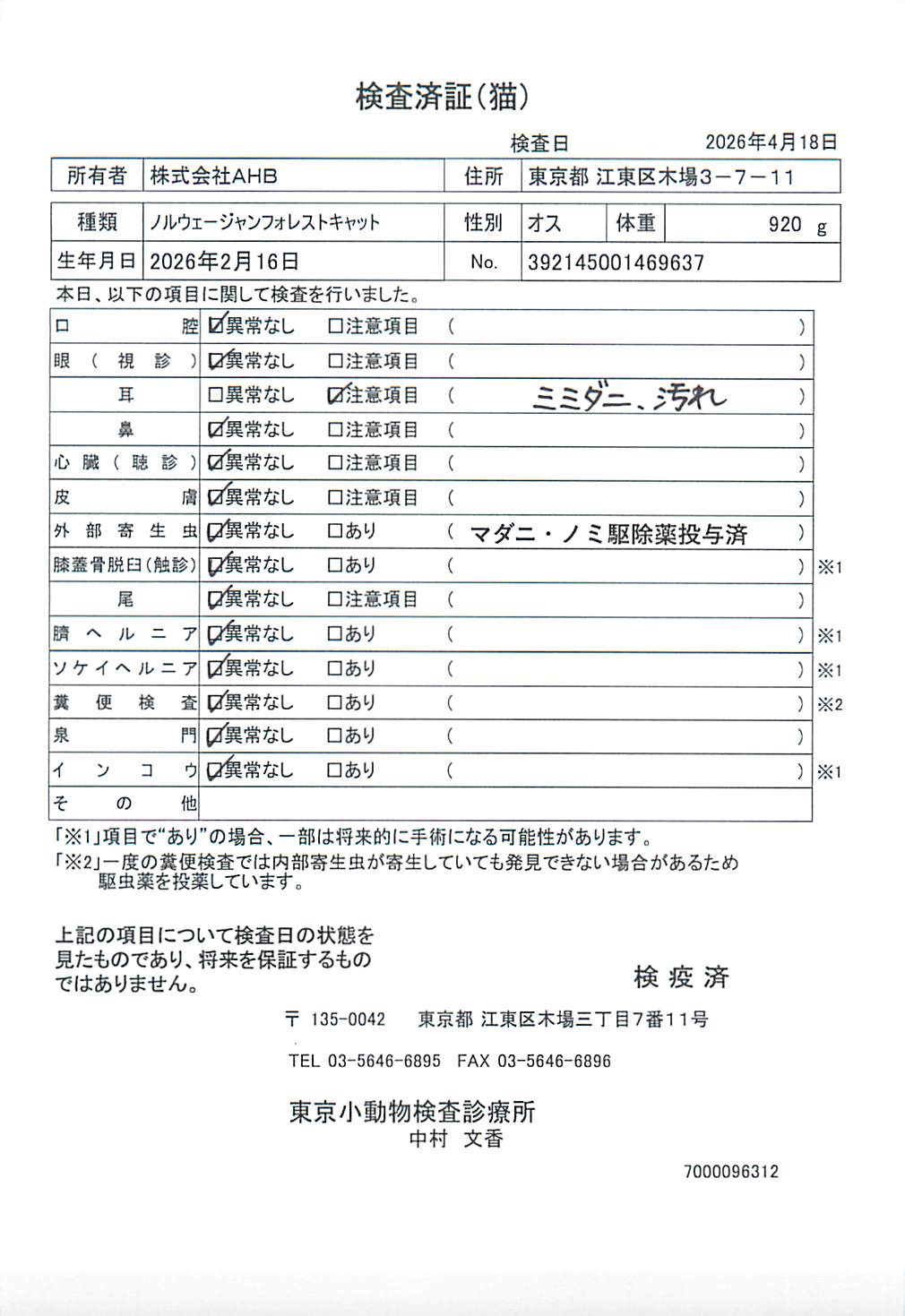 ノルウェージャンフォレストキャット