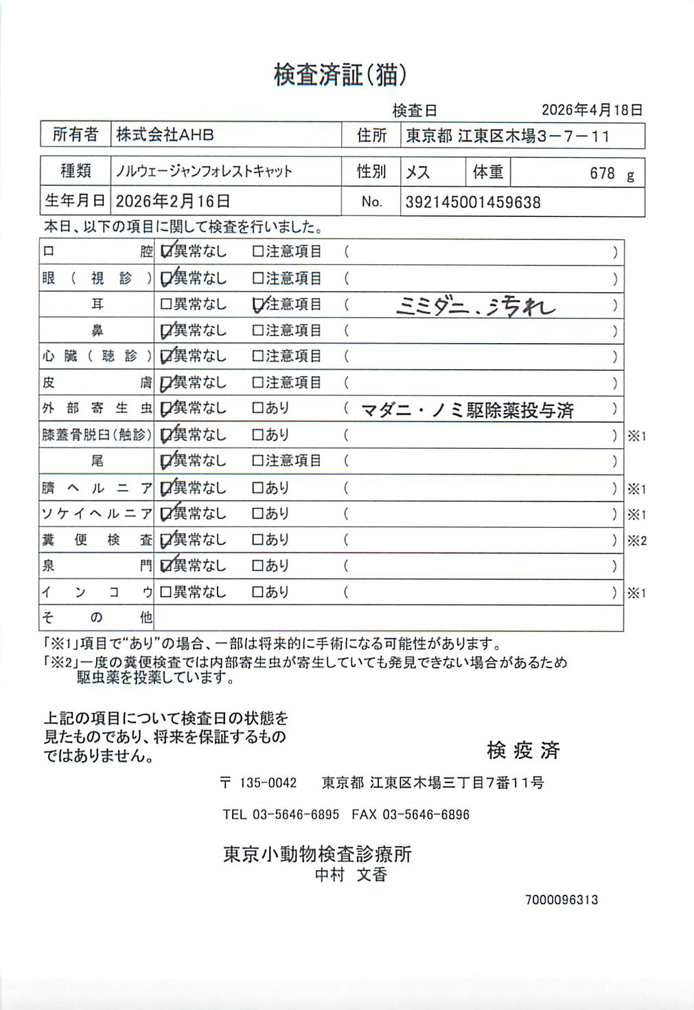 ノルウェージャンフォレストキャット