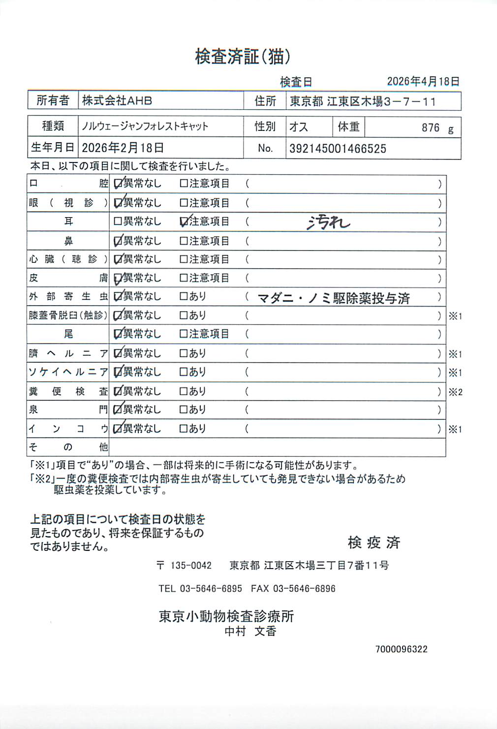 ノルウェージャンフォレストキャット