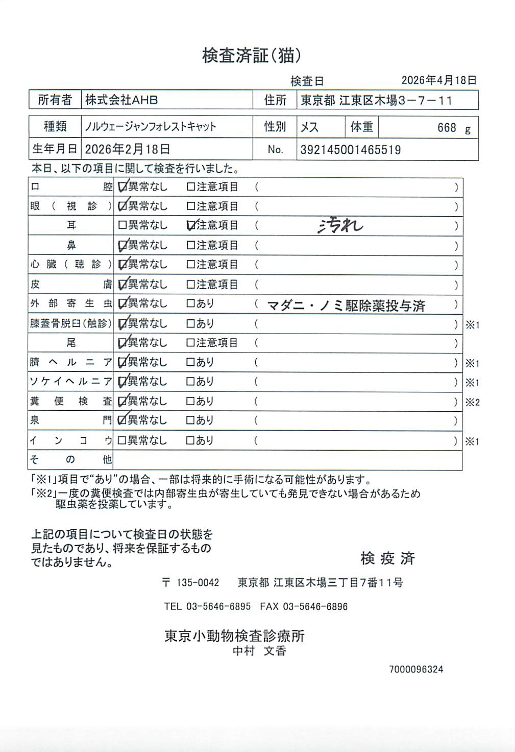 ノルウェージャンフォレストキャット