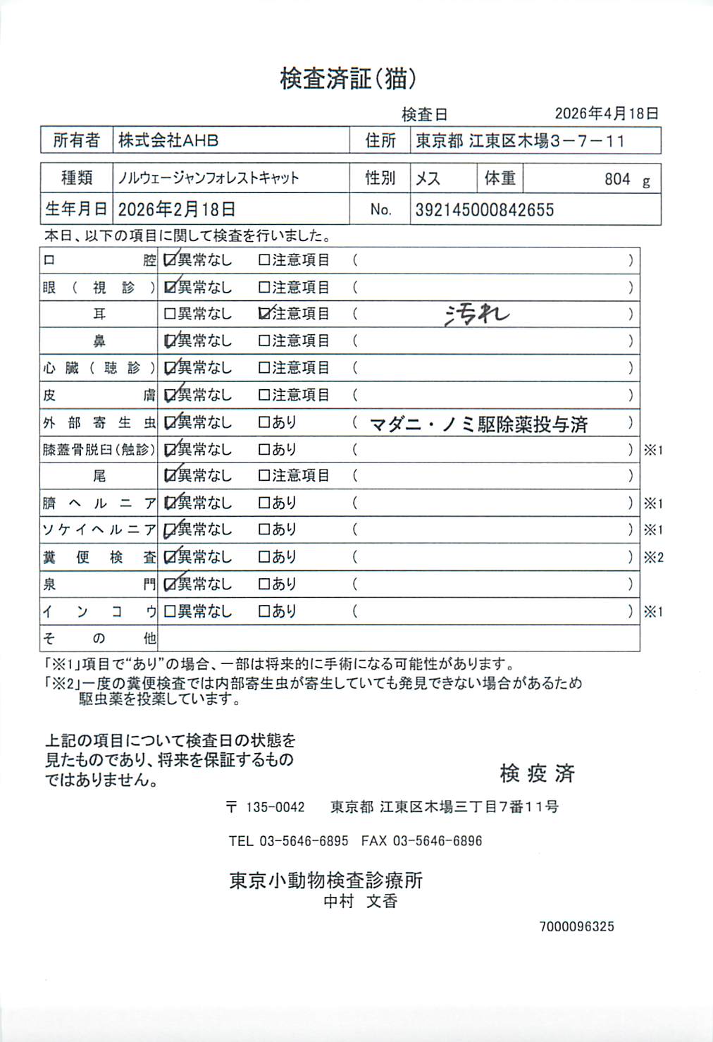 ノルウェージャンフォレストキャット