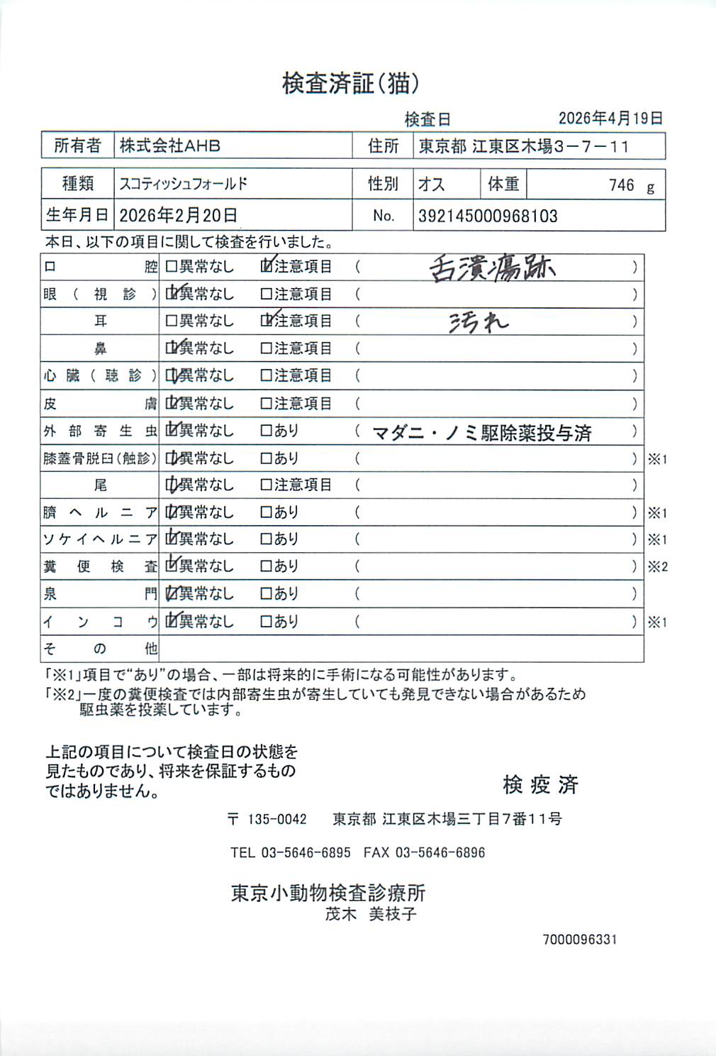 スコティッシュフォールド