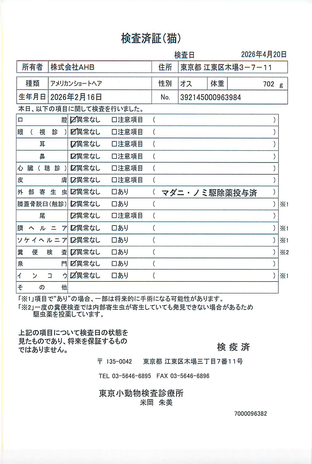 アメリカンショートヘア