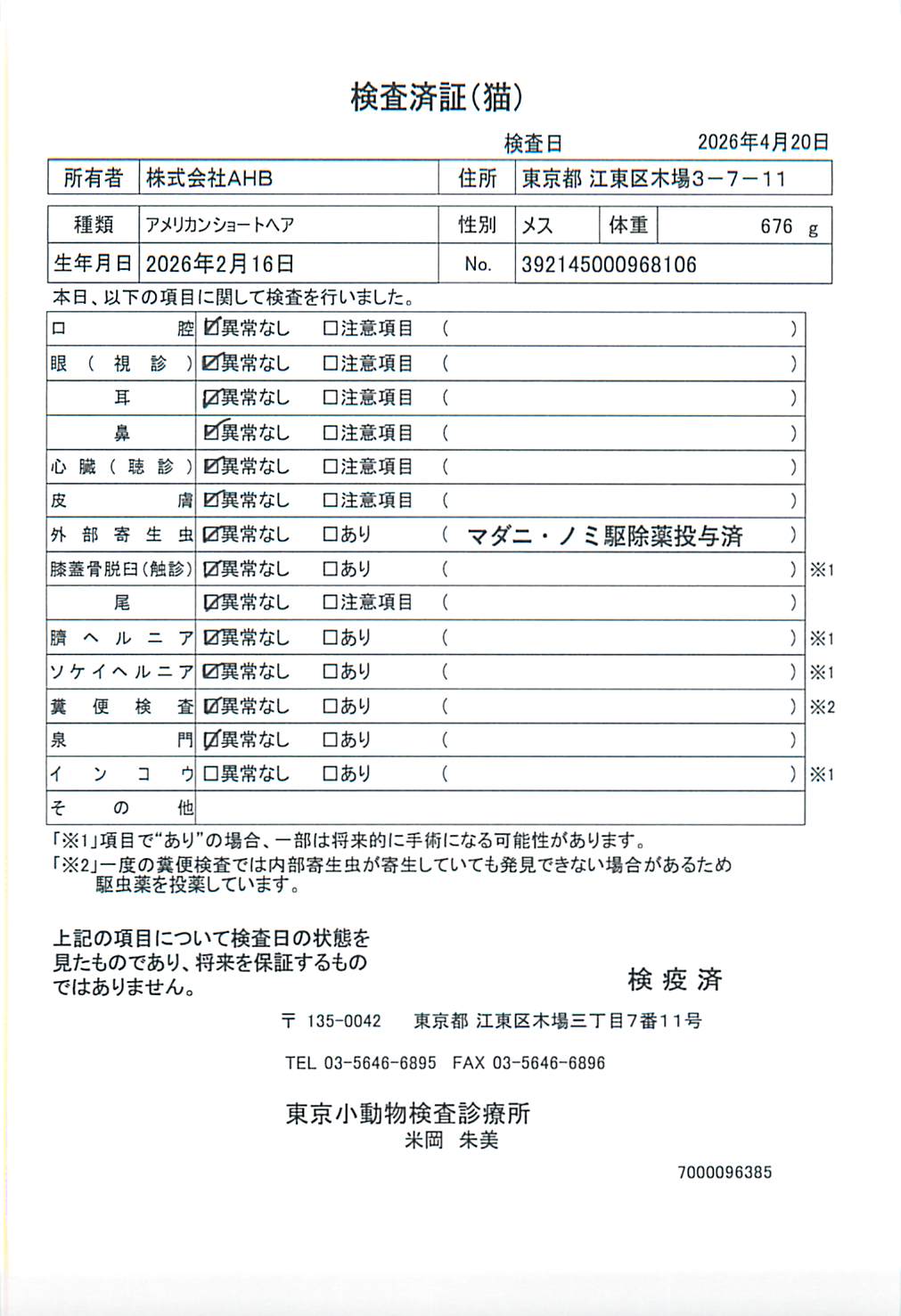 アメリカンショートヘア