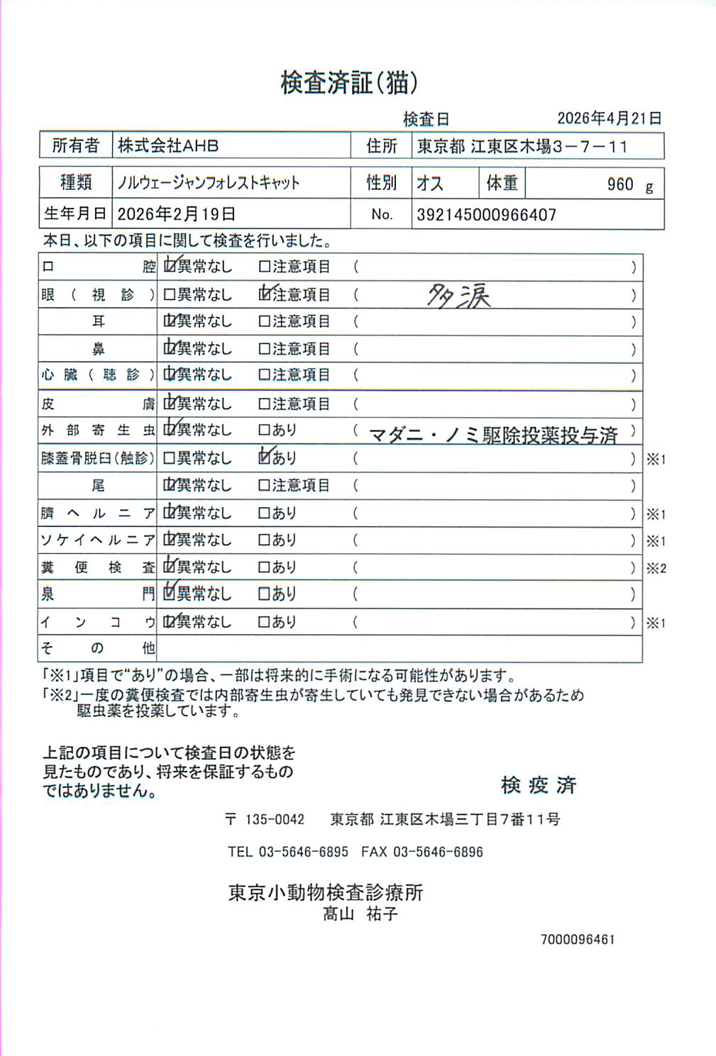 ノルウェージャンフォレストキャット