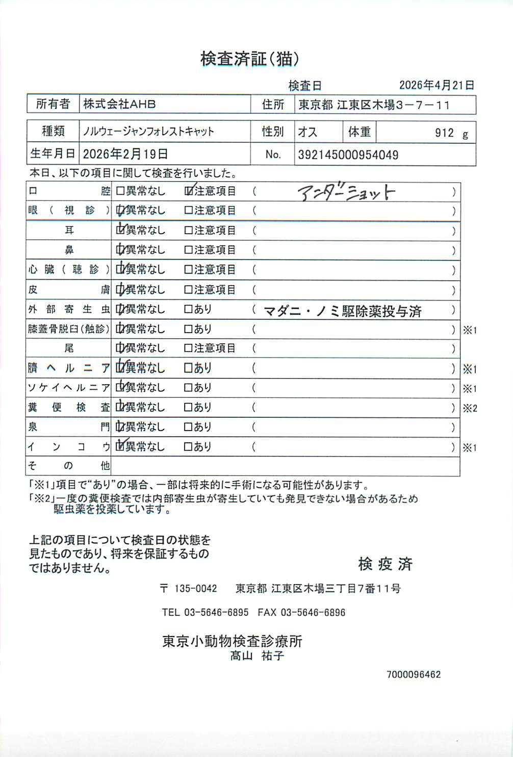 ノルウェージャンフォレストキャット