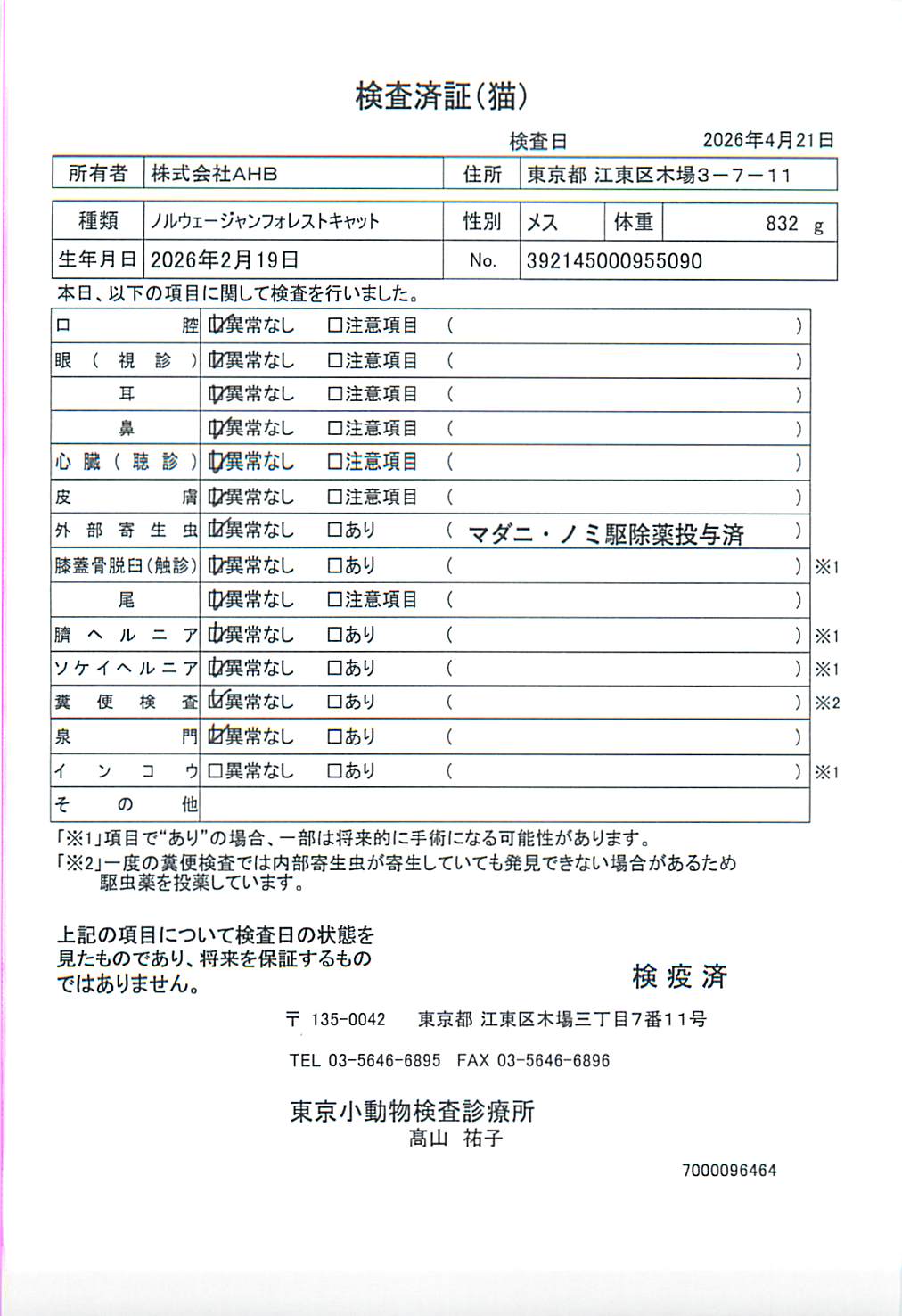 ノルウェージャンフォレストキャット