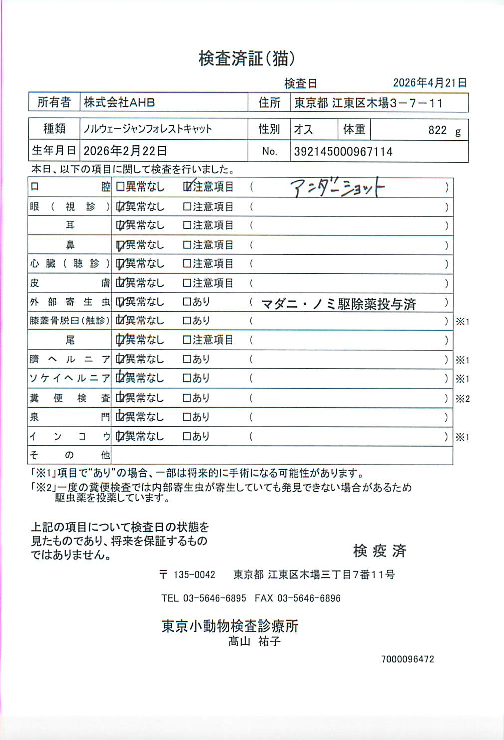 ノルウェージャンフォレストキャット