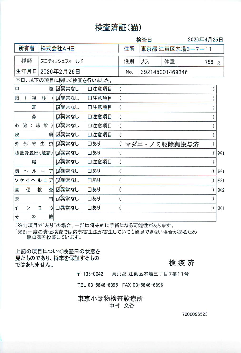 スコティッシュフォールド