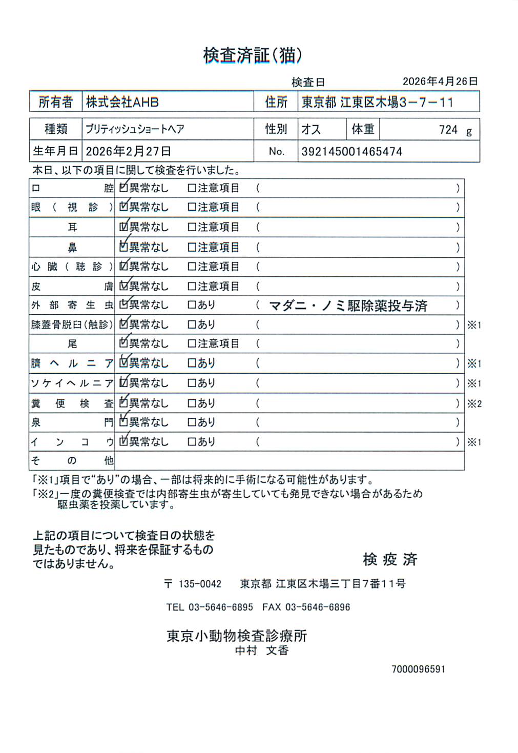 ブリティッシュショートヘア