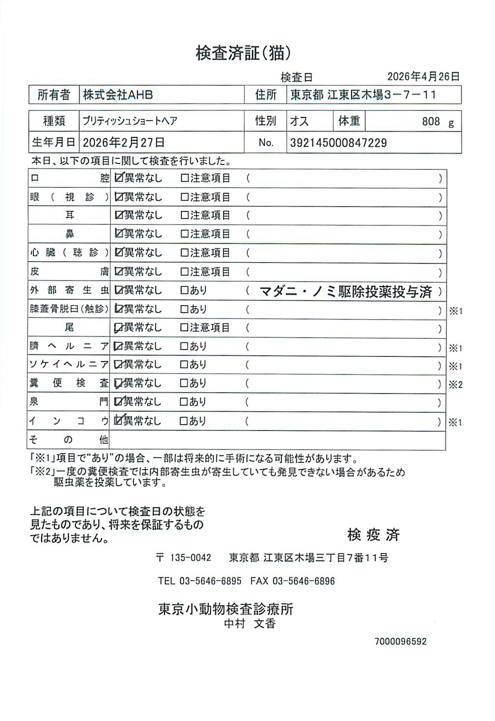 ブリティッシュショートヘア