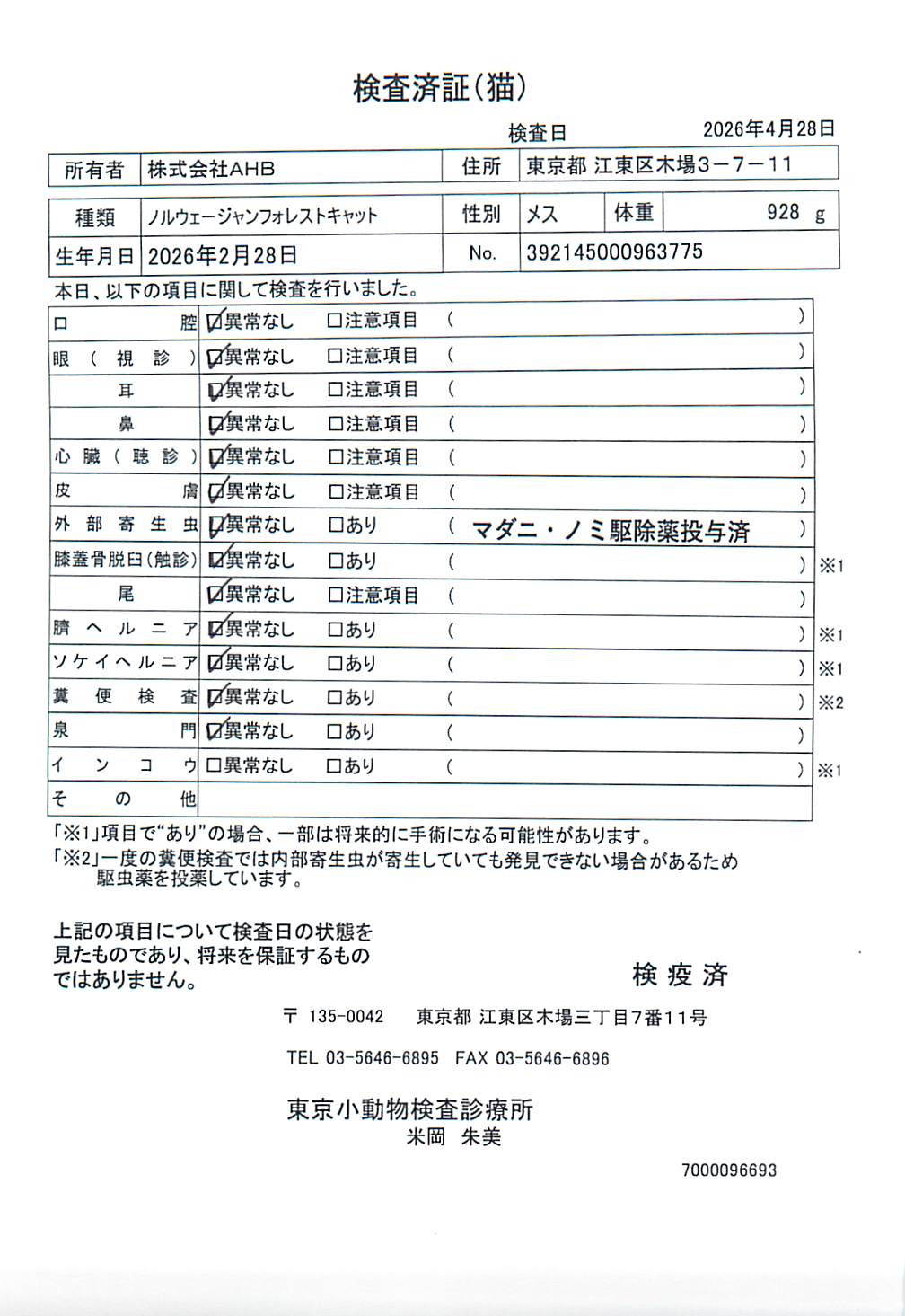 ノルウェージャンフォレストキャット