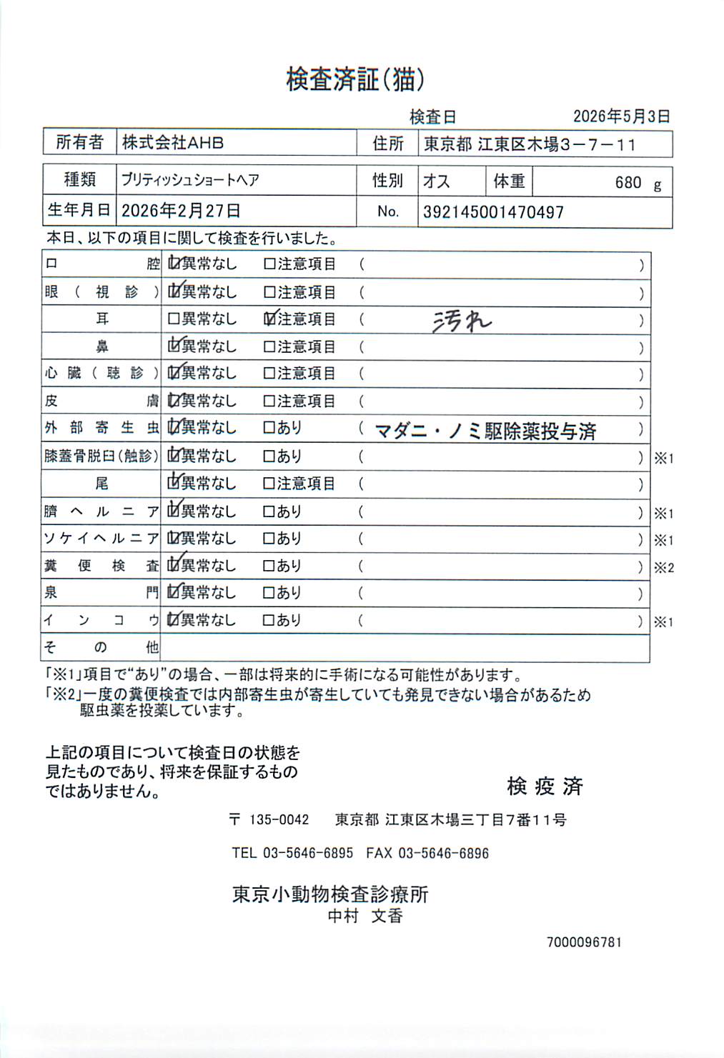 ブリティッシュショートヘア