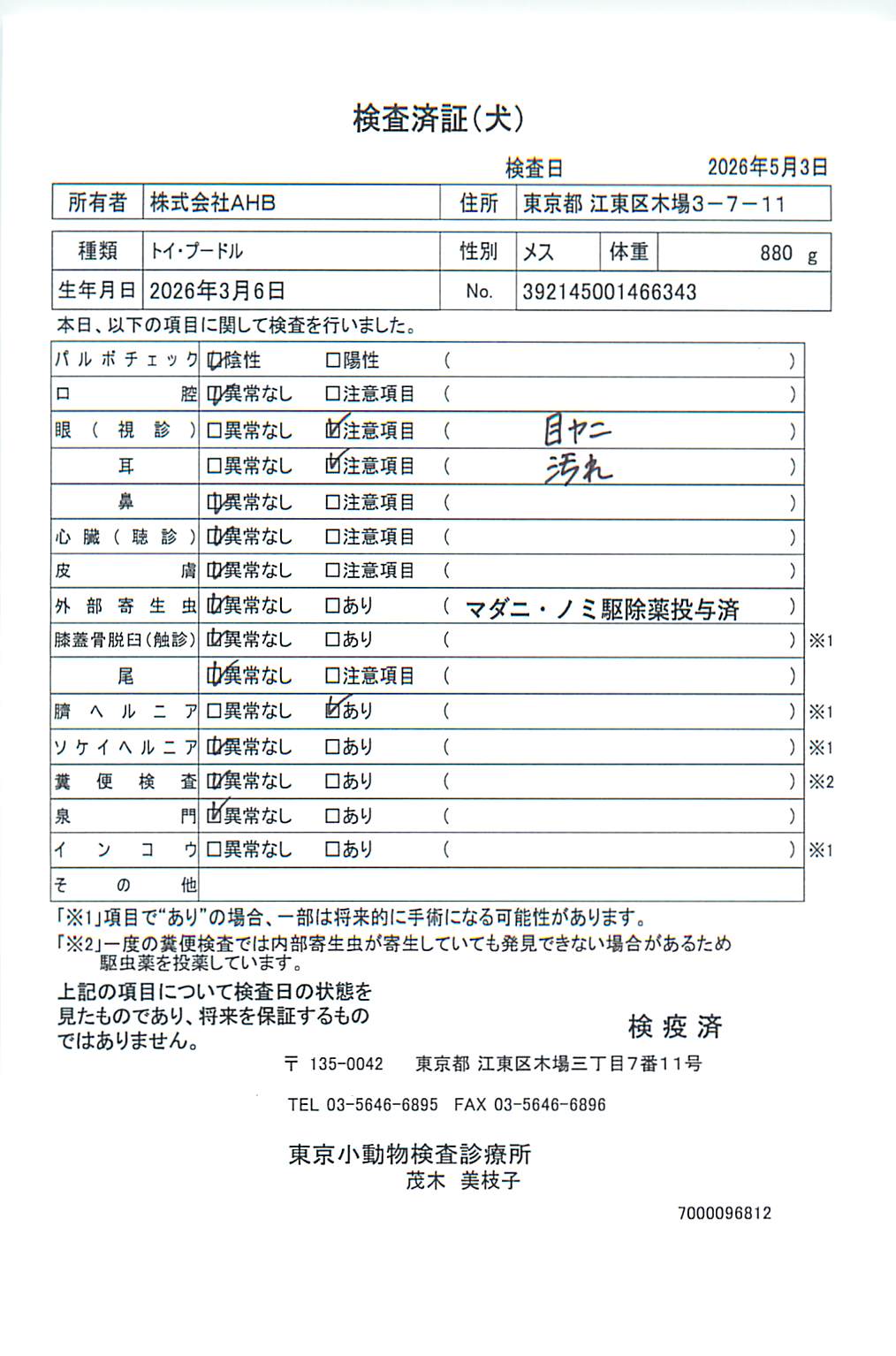 トイ・プードル