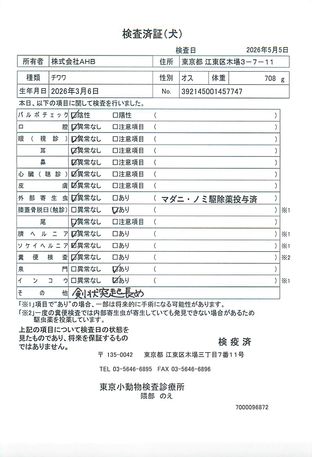 チワワ