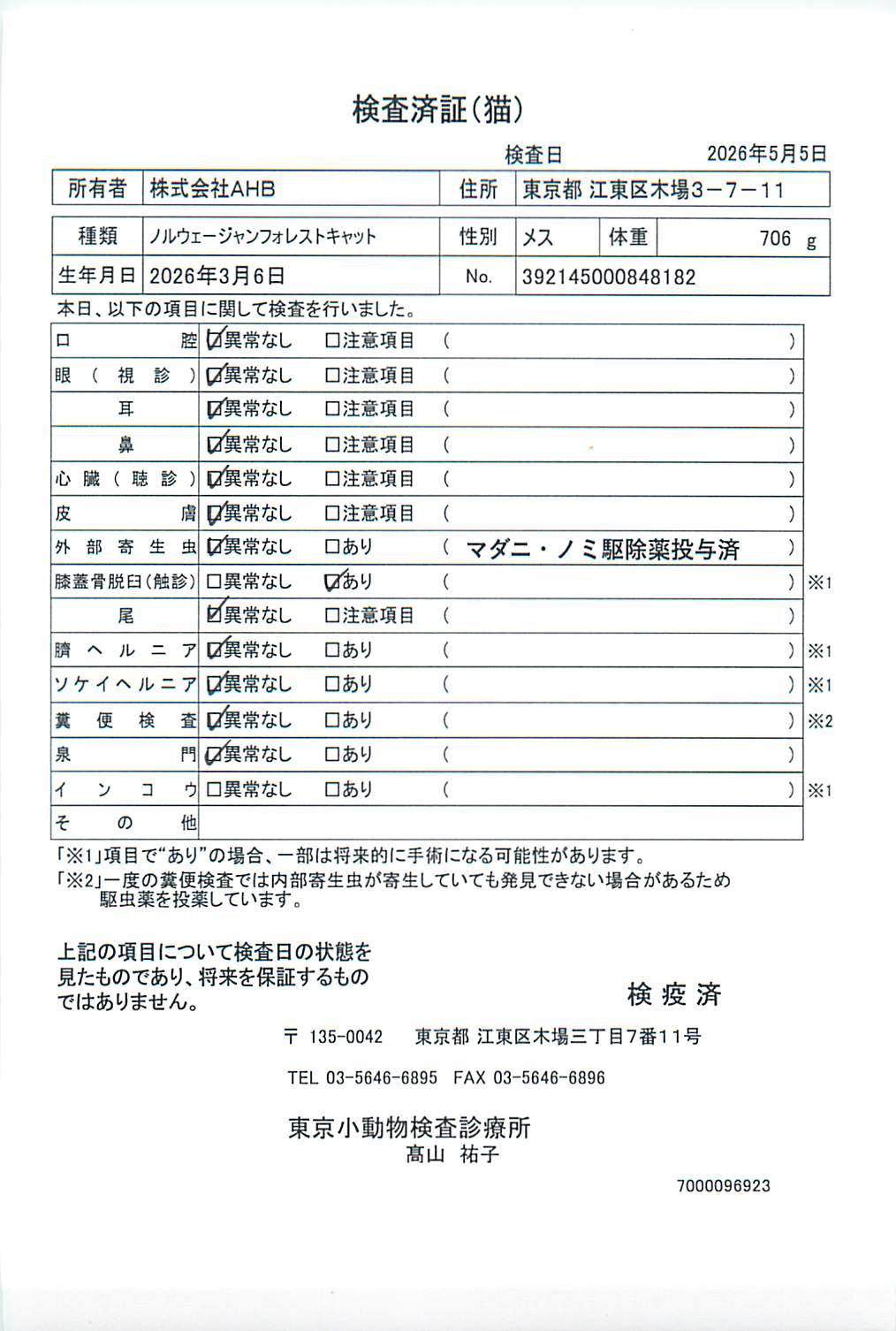 ノルウェージャンフォレストキャット