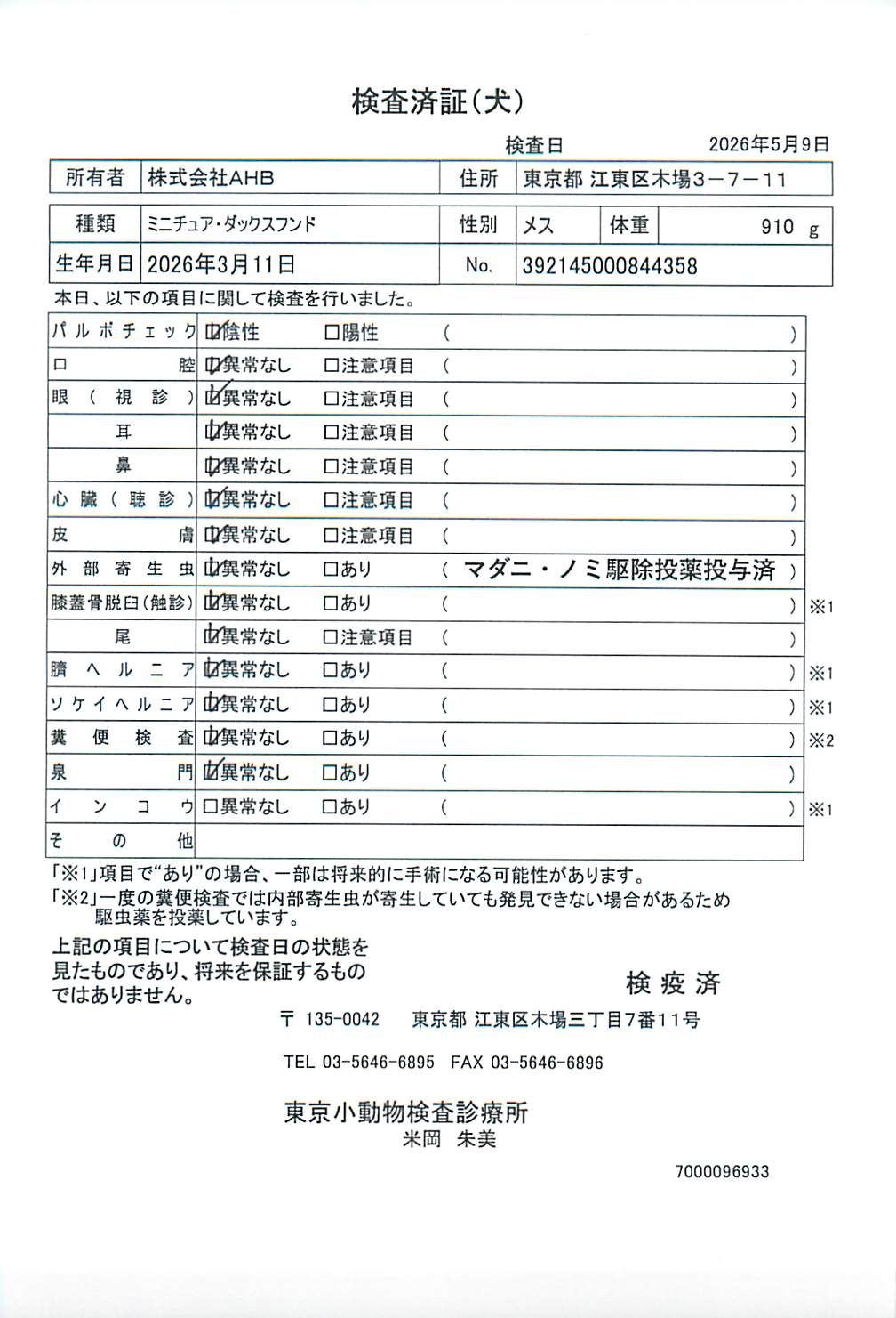 ミニチュア・ダックスフンド