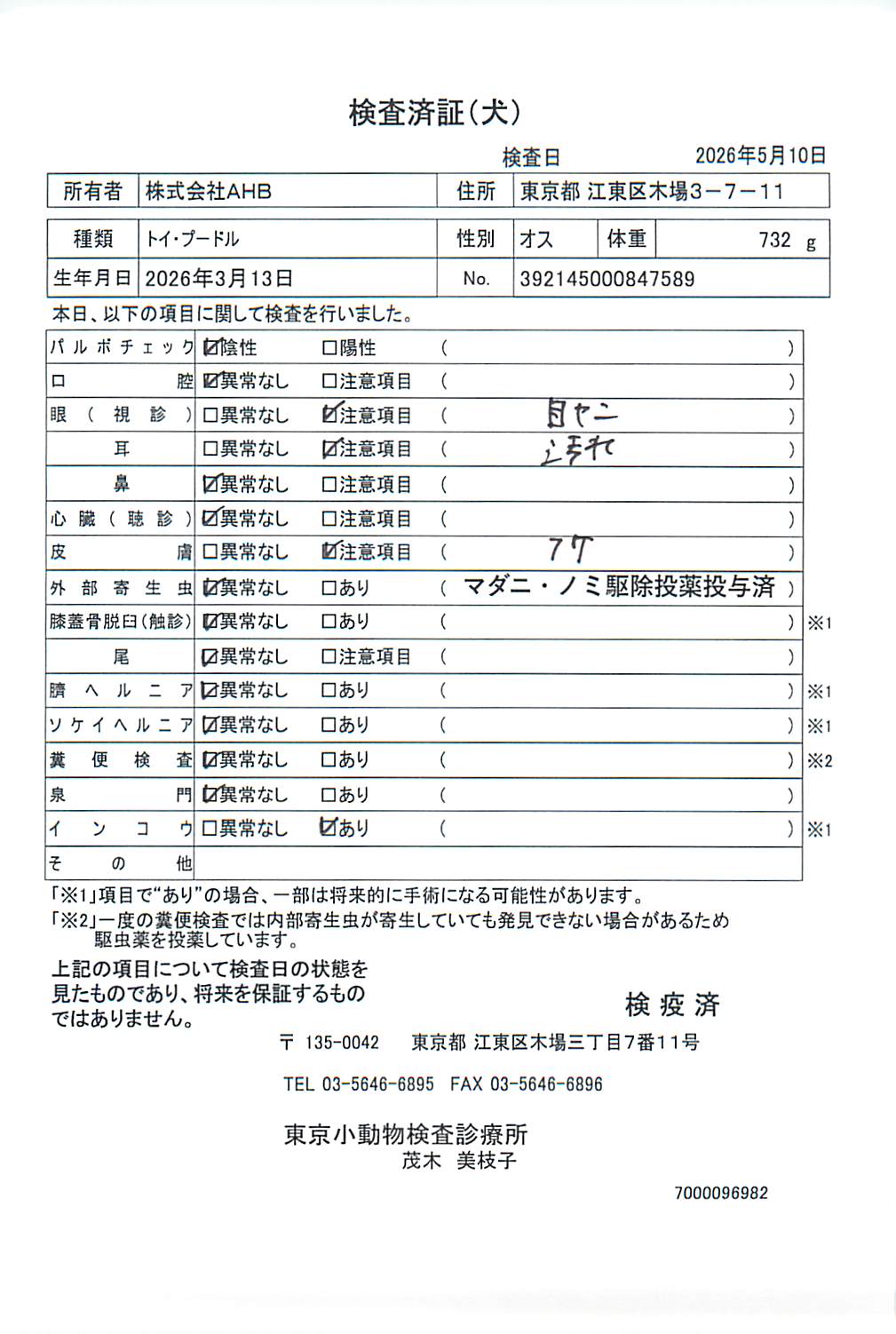 トイ・プードル
