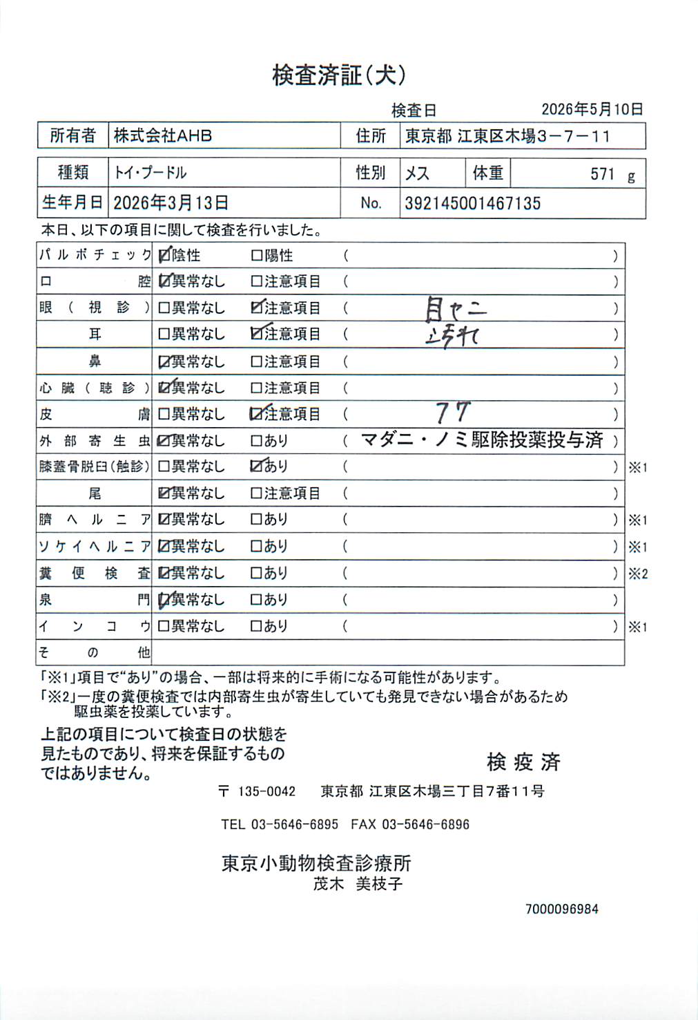 トイ・プードル