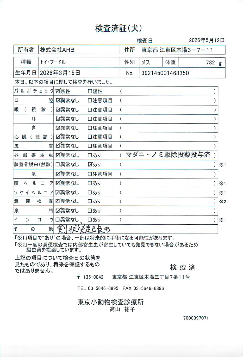 トイ・プードル