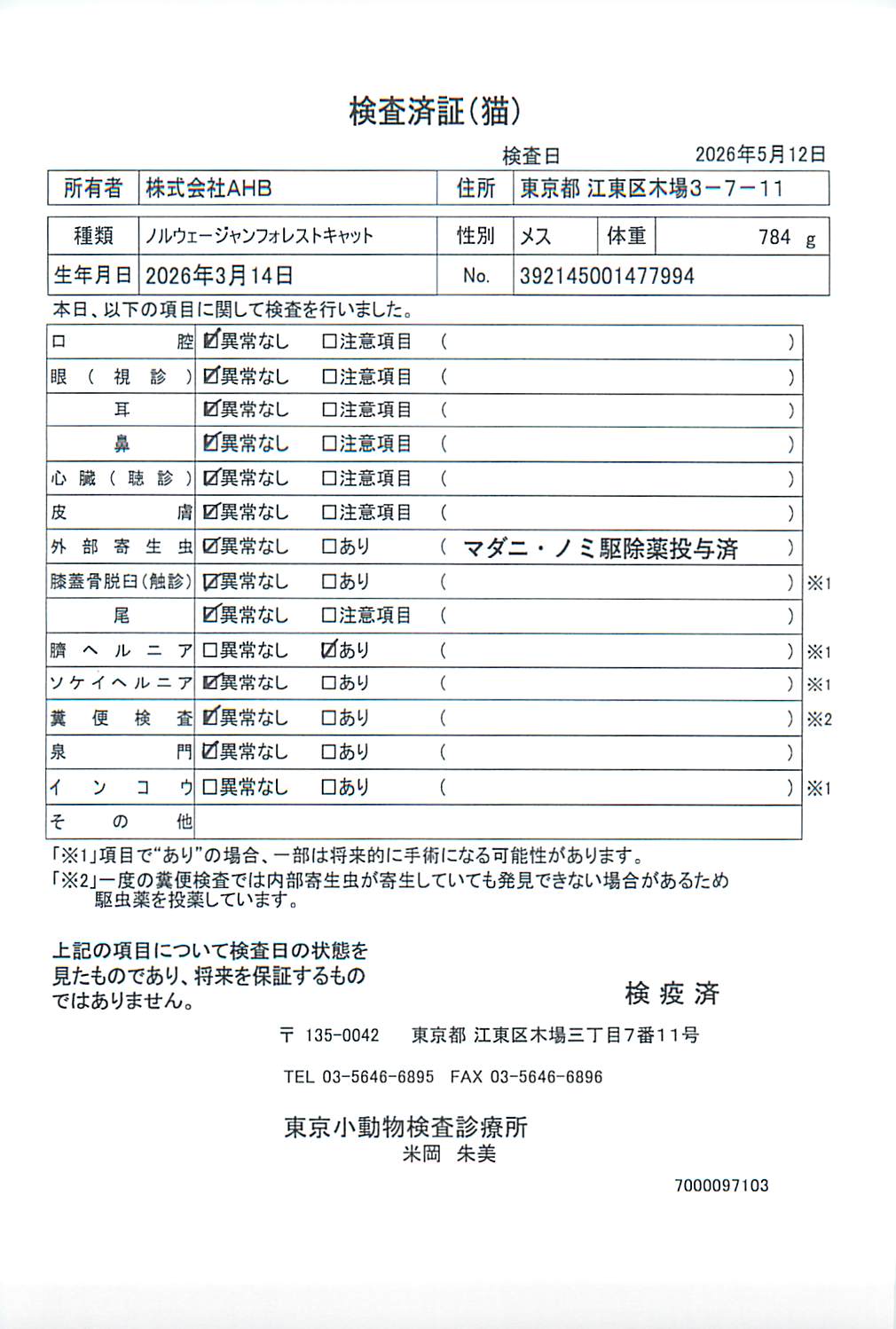 ノルウェージャンフォレストキャット