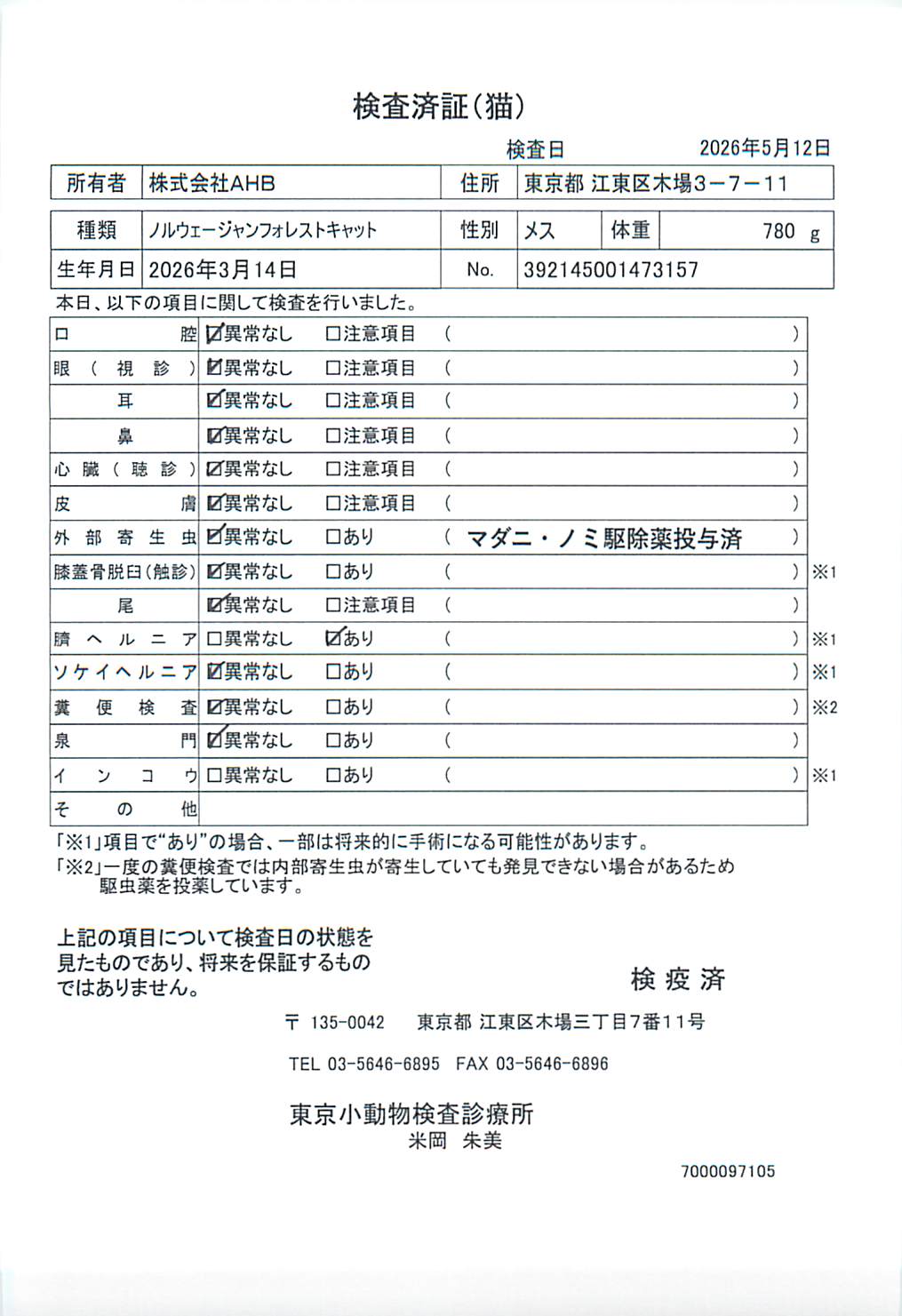 ノルウェージャンフォレストキャット