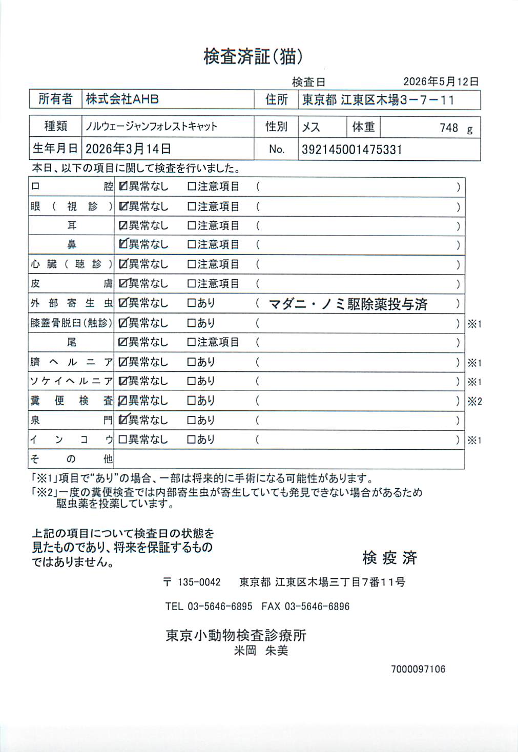 ノルウェージャンフォレストキャット