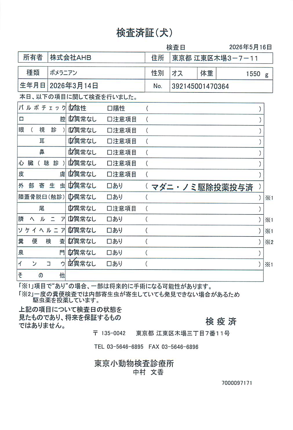ポメラニアン