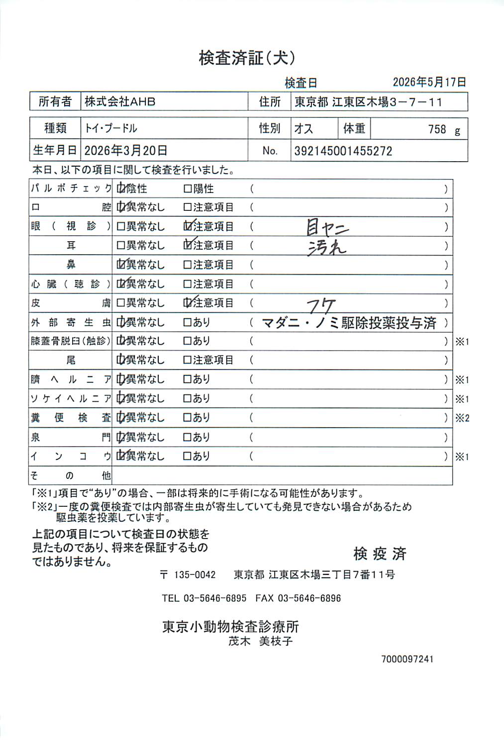 トイ・プードル