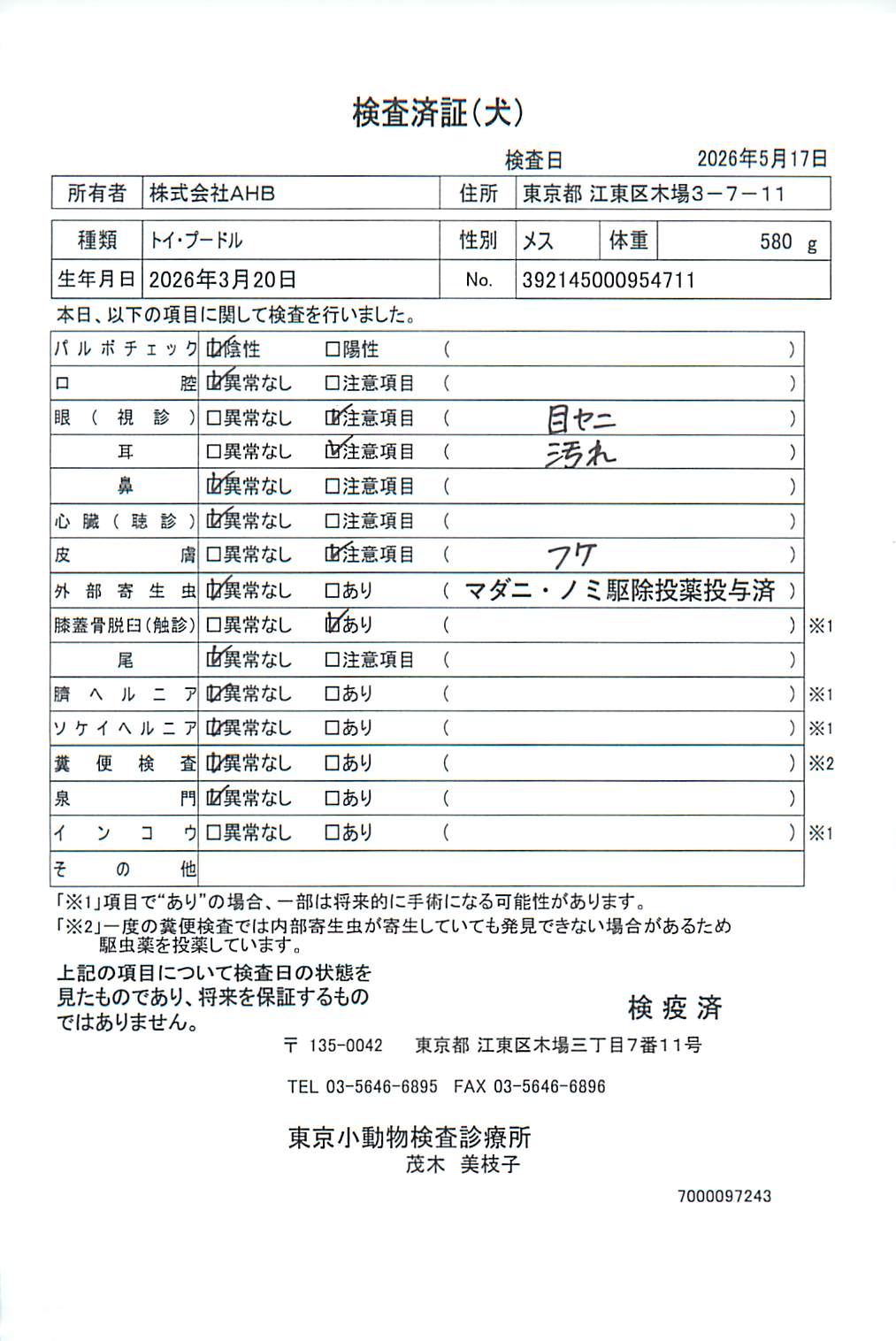 トイ・プードル