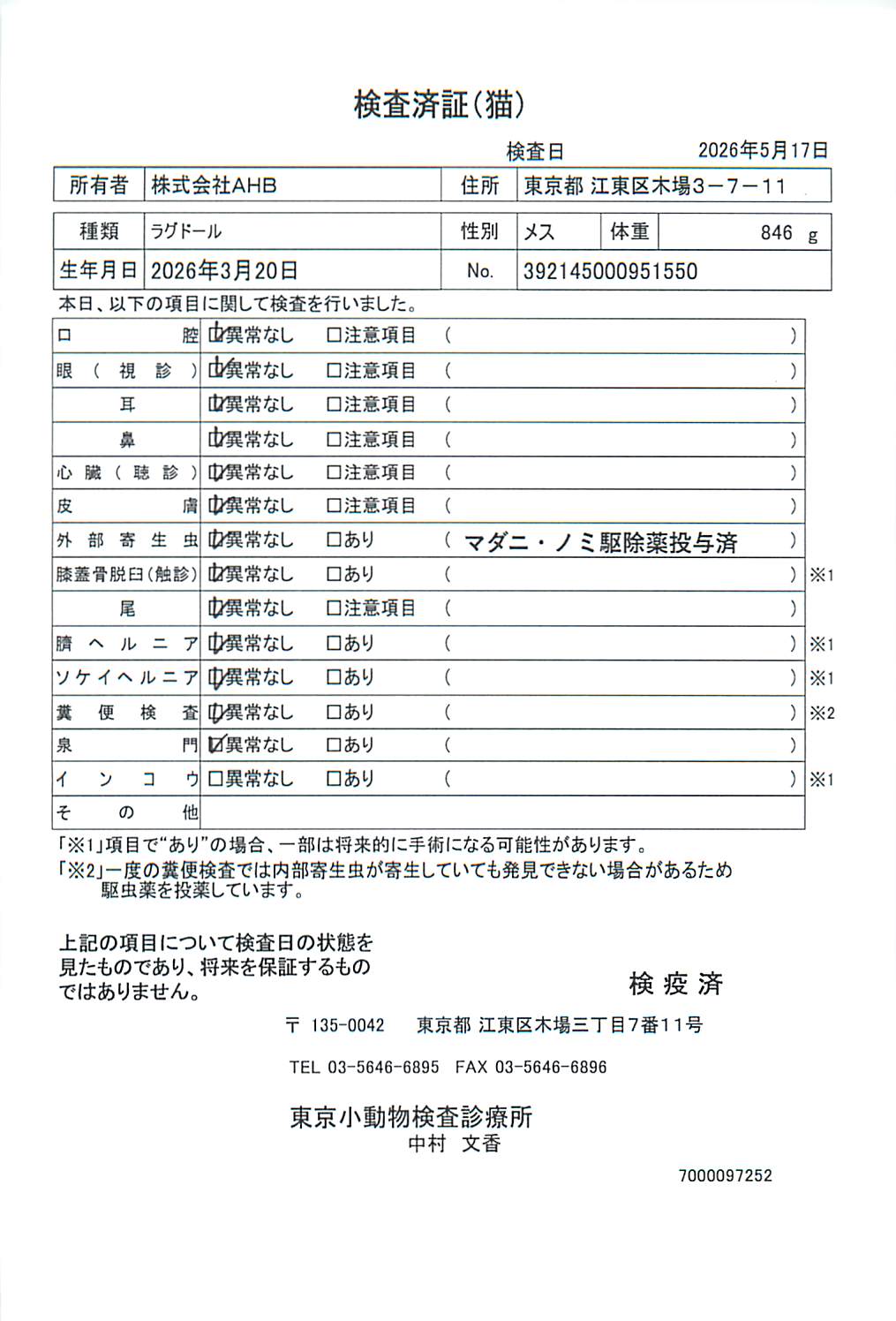 ラグドール