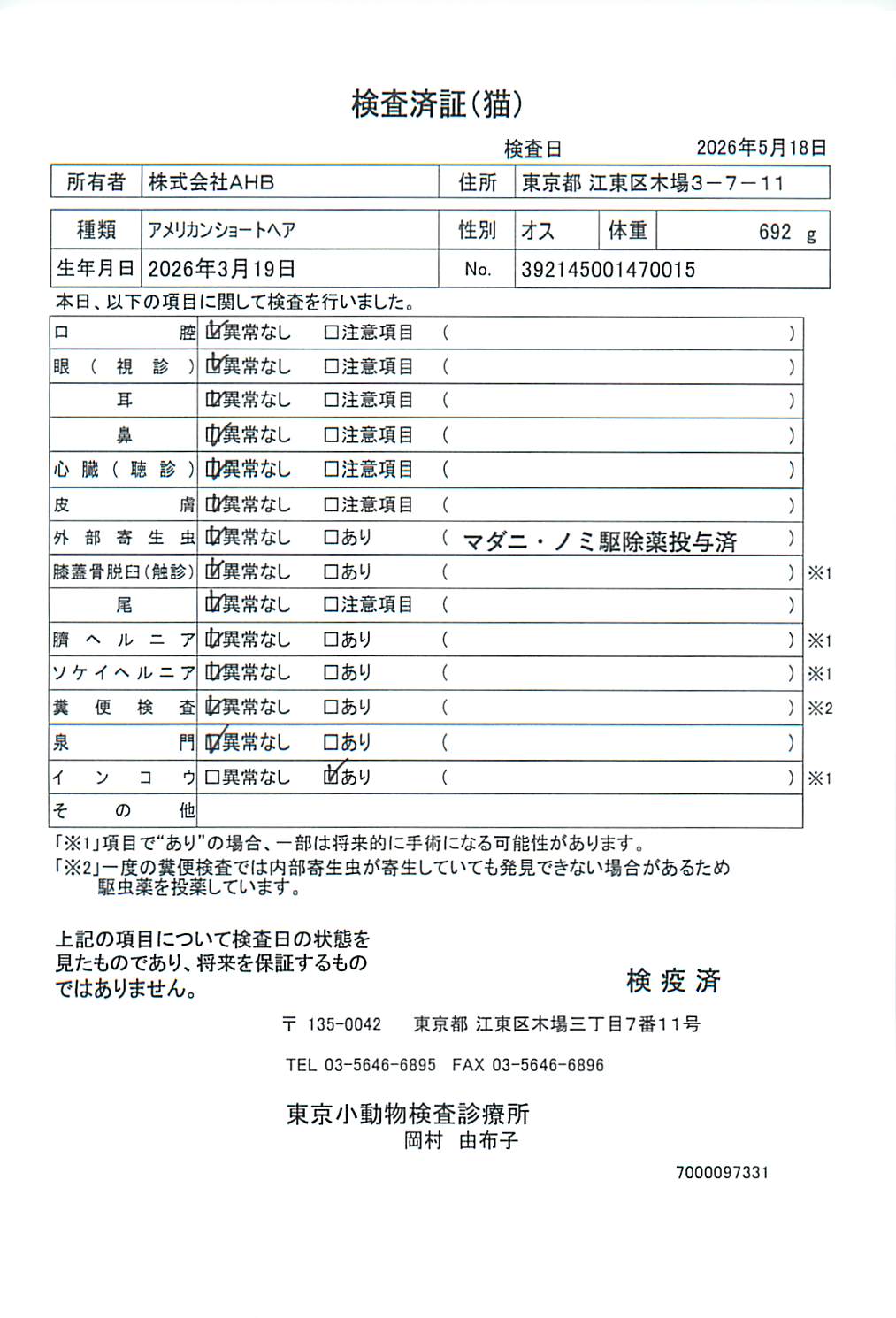 アメリカンショートヘア