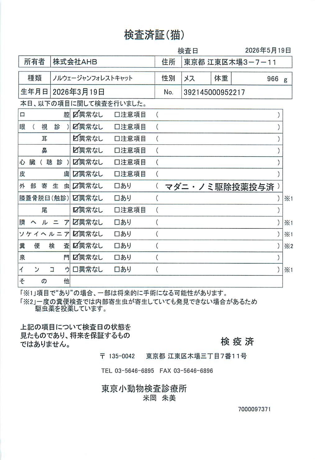ノルウェージャンフォレストキャット