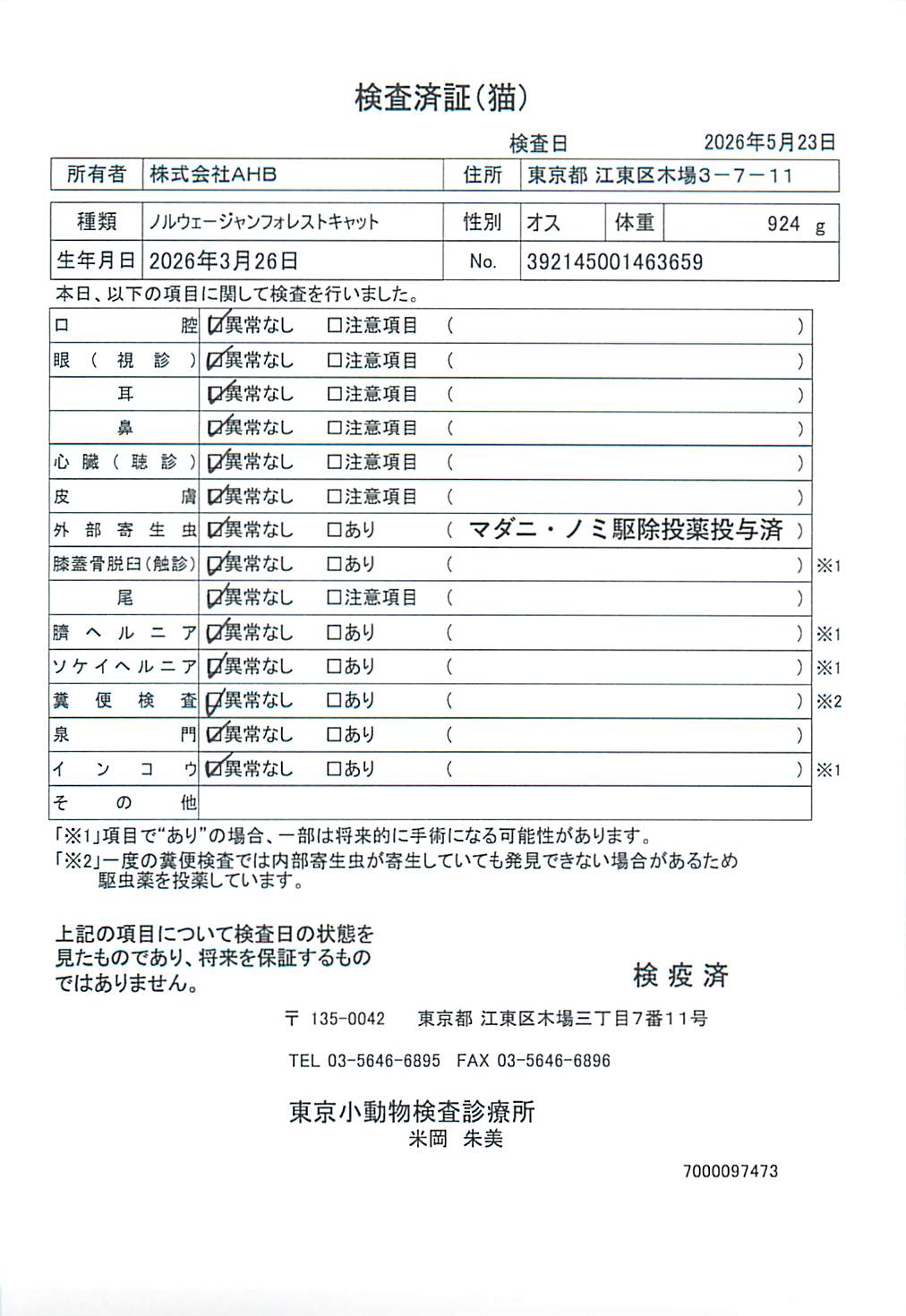 ノルウェージャンフォレストキャット