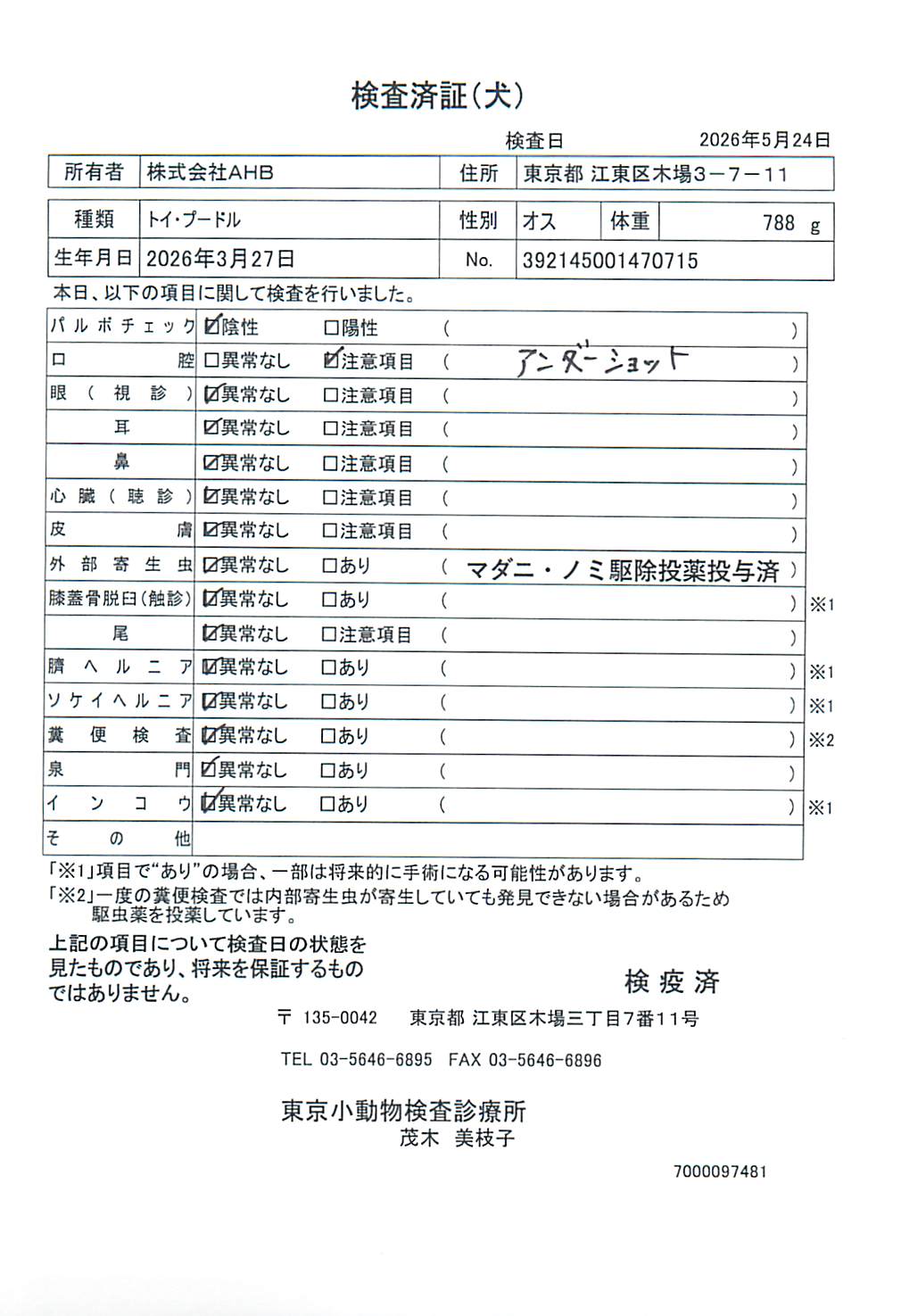 トイ・プードル