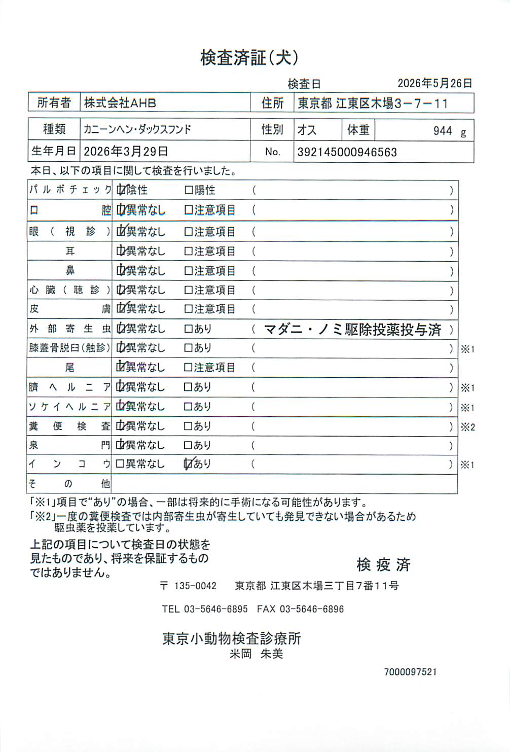 カニーンヘン・ダックスフンド