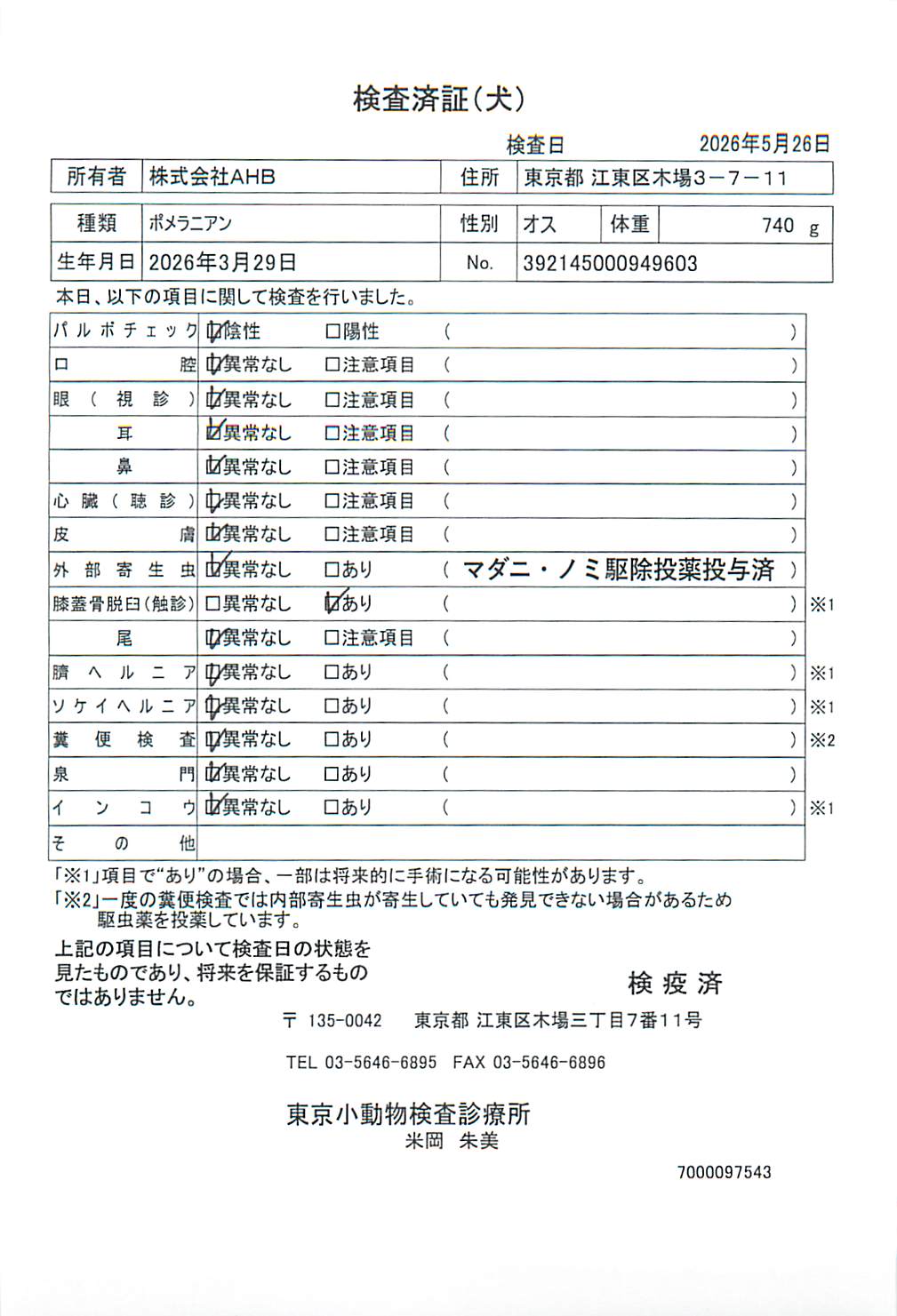 ポメラニアン
