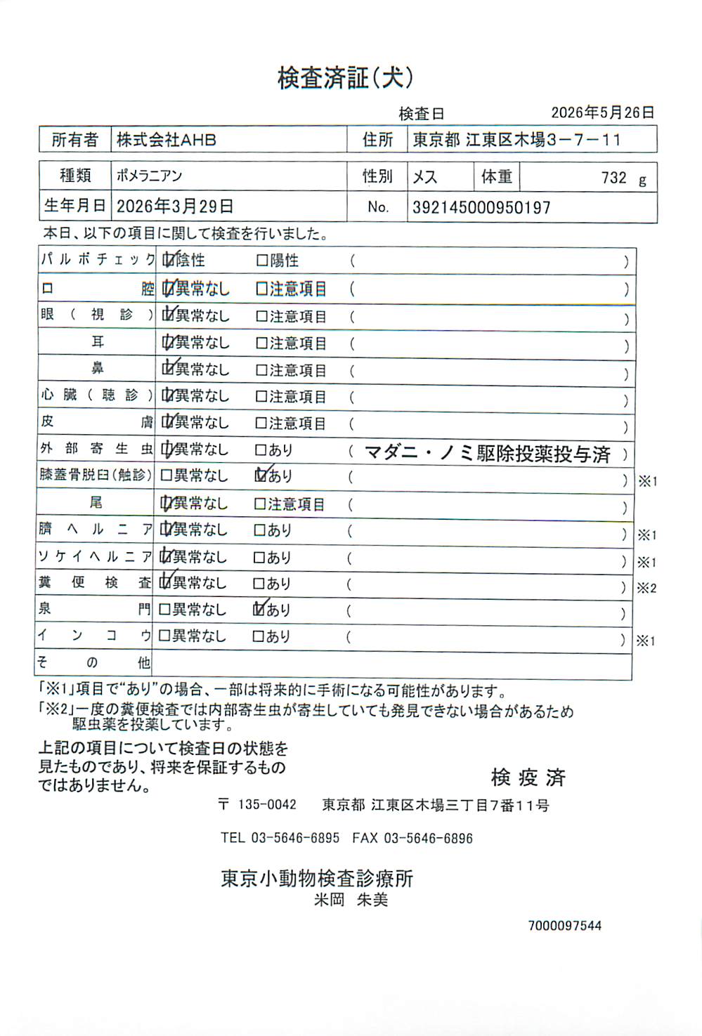 ポメラニアン