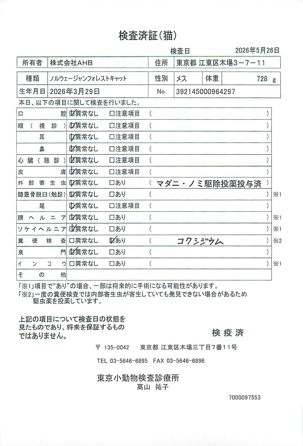 ノルウェージャンフォレストキャット