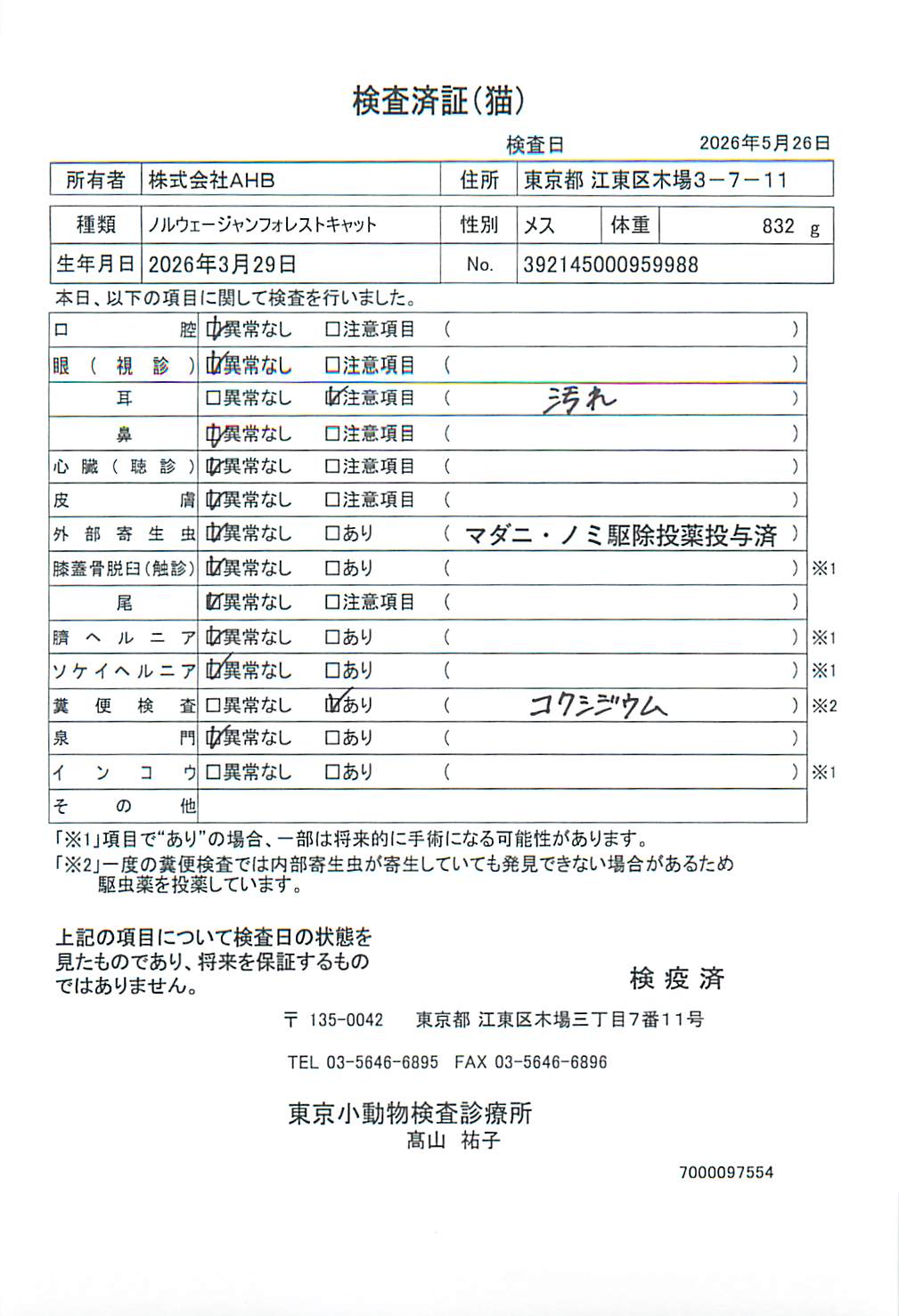 ノルウェージャンフォレストキャット